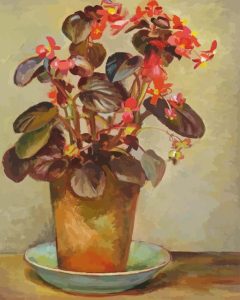 Begonias In Pot Diamond Painting