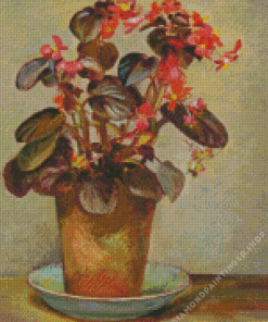 Begonias In Pot Diamond Painting