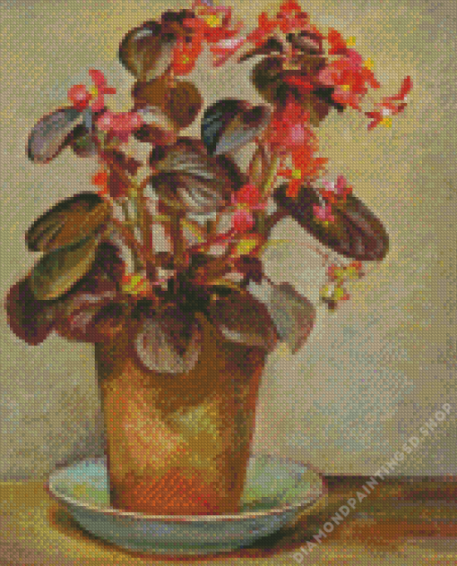 Begonias In Pot Diamond Painting