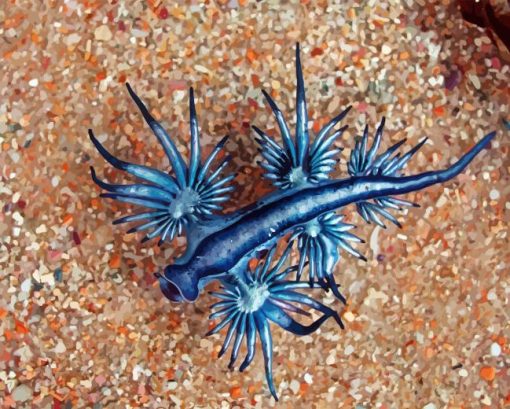 Blue Glaucus Dragon Diamond Painting