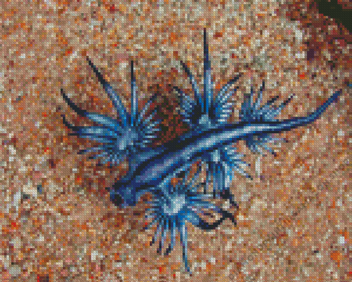 Blue Glaucus Dragon Diamond Painting