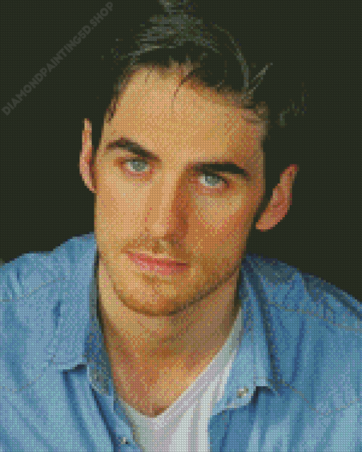 Colin O'Donoghue Diamond Painting