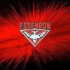 Essendon Diamond Painting