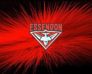 Essendon Diamond Painting