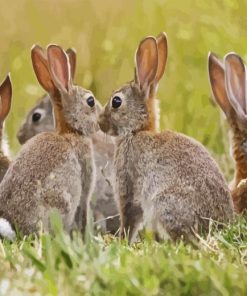 European Rabbits Diamond Painting