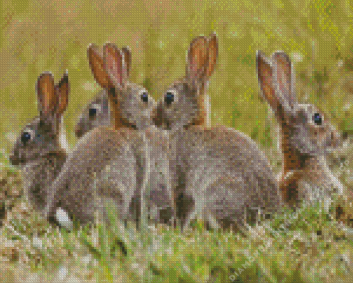 European Rabbits Diamond Painting