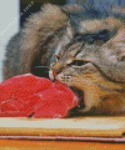 Fat Cat Eating Diamond Painting