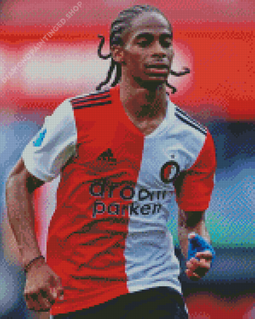 Feyenoord Diamond Painting