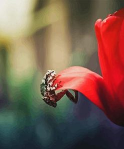 Frog On A Tulip Diamond Painting