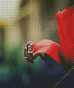 Frog On A Tulip Diamond Painting