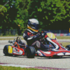 Go Karting Diamond Painting