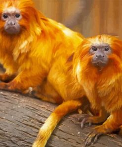 Golden Lion Tamarin Diamond Painting