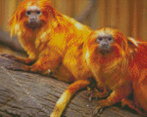 Golden Lion Tamarin Diamond Painting