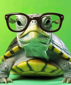 Turtle With Glasses Diamond Painting