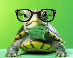 Turtle With Glasses Diamond Painting