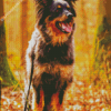 Herding Dog Diamond Painting