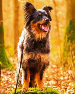 Herding Dog Diamond Painting