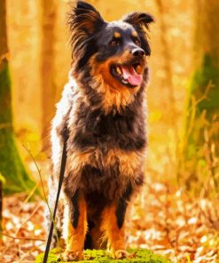 Herding Dog Diamond Painting