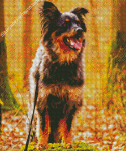 Herding Dog Diamond Painting