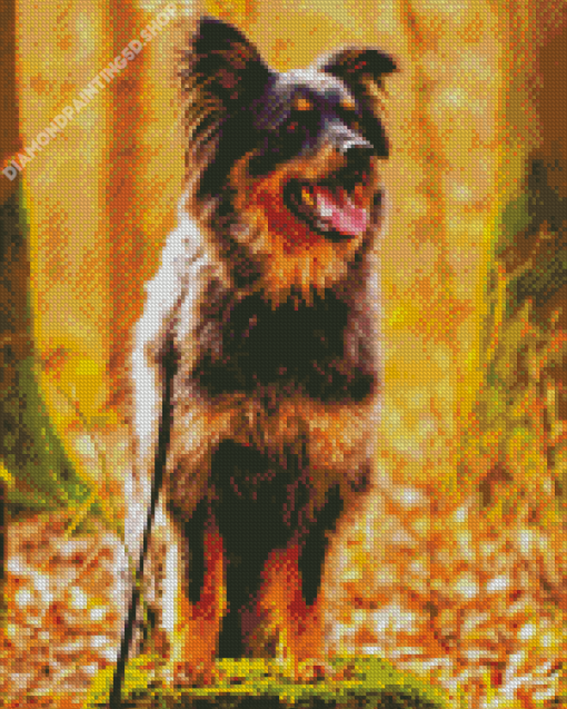 Herding Dog Diamond Painting