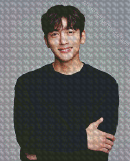 Ji Chang Wook Diamond Painting