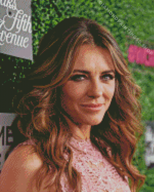 Liz Hurley Diamond Painting