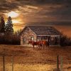 Rural Scene Diamond Painting