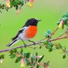 Scarlet Robin Diamond Painting