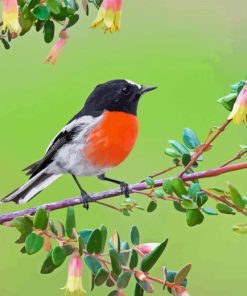 Scarlet Robin Diamond Painting