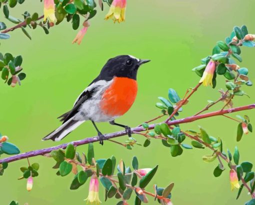 Scarlet Robin Diamond Painting