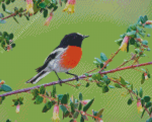 Scarlet Robin Diamond Painting