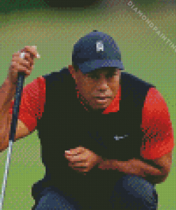 Tiger Woods Diamond Painting