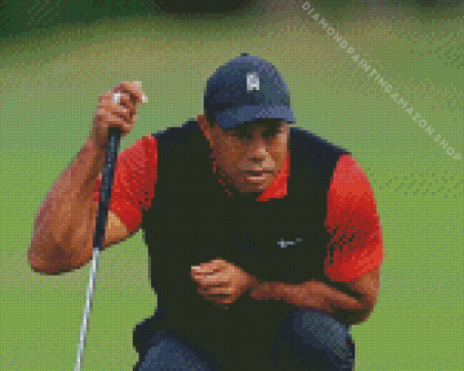 Tiger Woods Diamond Painting