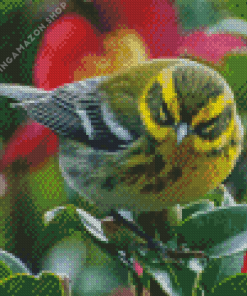 Townsend Warbler Diamond Painting