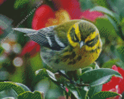 Townsend Warbler Diamond Painting