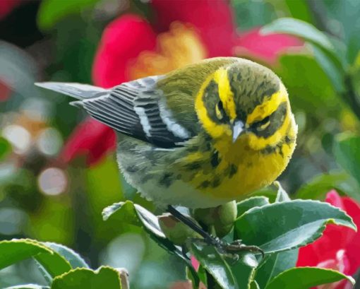 Townsend Warbler Diamond Painting