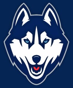 UConn Huskies Logo Diamond Painting