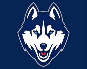 UConn Huskies Logo Diamond Painting