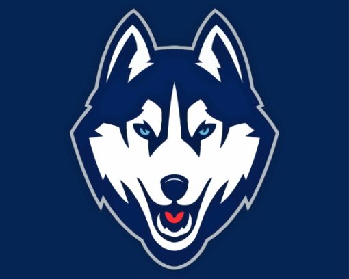 UConn Huskies Logo Diamond Painting