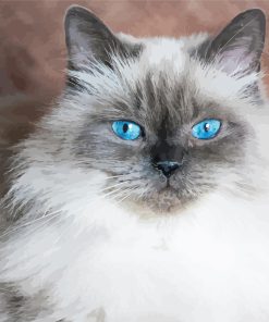 Blue Eyed Himalayan Diamond Painting