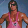 Bret Hart Diamond Painting