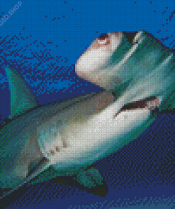 Hammerhead Shark Diamond Painting