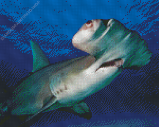 Hammerhead Shark Diamond Painting