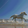 Horse Running Diamond Painting