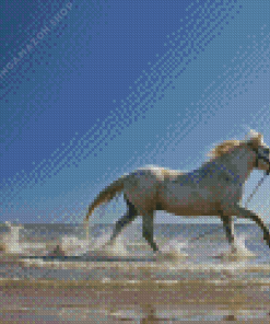 Horse Running Diamond Painting