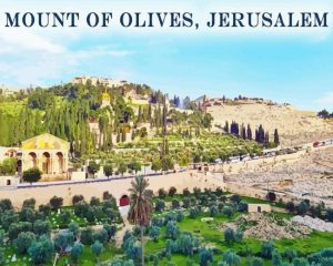 Mount Of Olives Diamond Painting