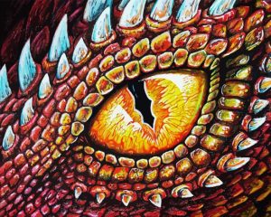 Orange Dragon Eye Diamond Painting