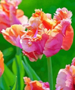 Parrot Tulip Diamond Painting