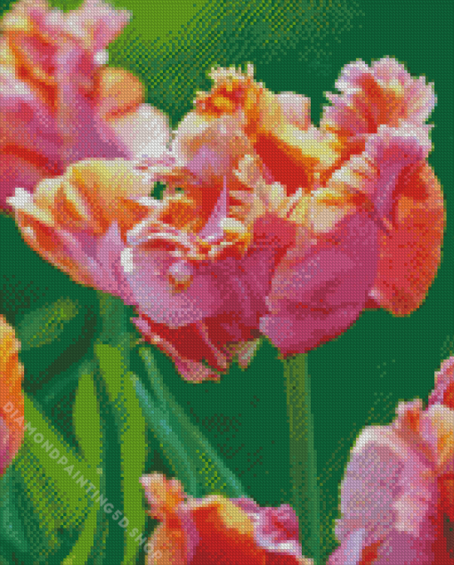 Parrot Tulip Diamond Painting