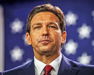 Ron Desantis Diamond Painting